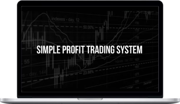 TheTradeAcademy – Simple Profit Trading System 2020