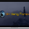 Trading Mastermind – Yin Yang Forex Training Program