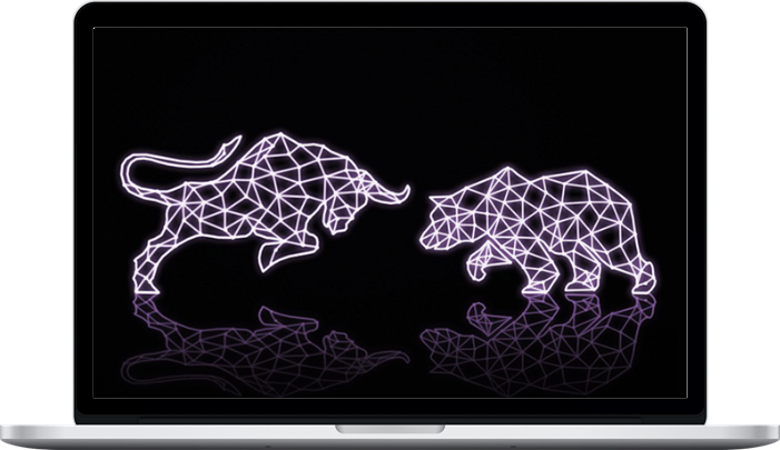 Equinox Financial – Forex Trading Beginner