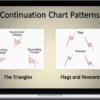 Master Trader – Master Trading Bull and Bear Flag Patterns