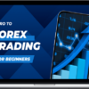Achieve More FX – Intro to Forex Boot Camp
